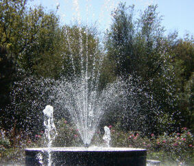 Fountain, Wichita Botanica