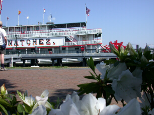 Natchez