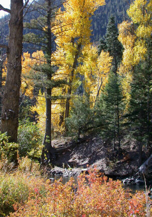 Autumn in New Mexico
