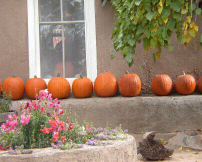 Pumpkins at Rancho de Chimayo