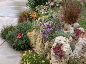 First Rock Garden